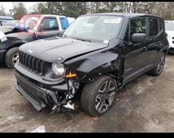 جيب رينيجيد